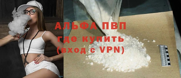 стаф Богданович