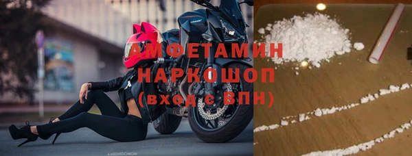 стаф Богданович