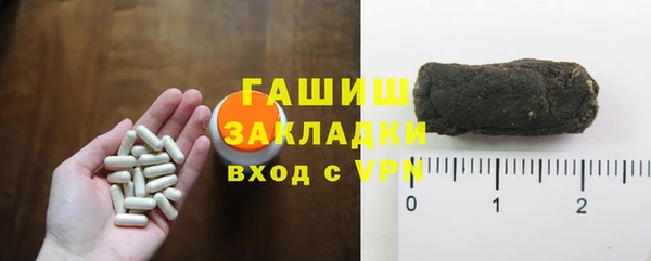 стаф Богданович