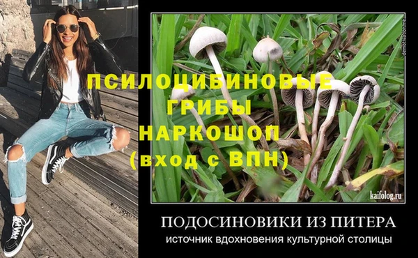бошки Богородск
