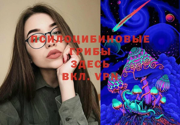 прущий лед Богородицк