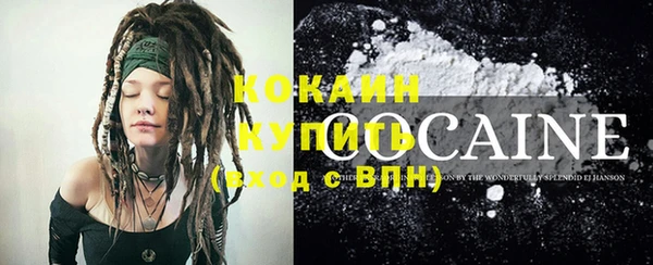 стаф Богданович