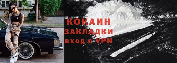 стаф Богданович