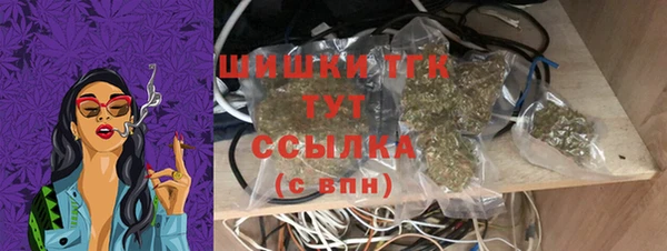 стаф Богданович