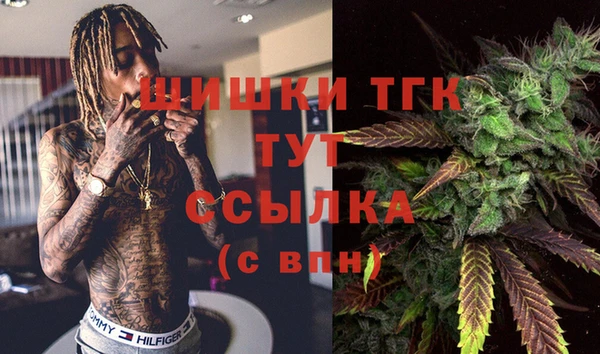 прущий лед Богородицк