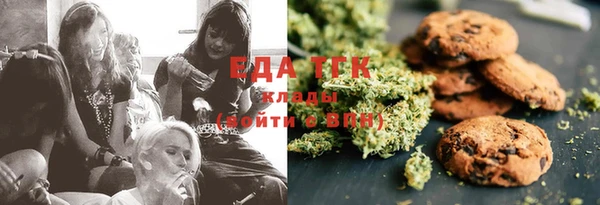 стаф Богданович