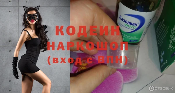 стаф Богданович