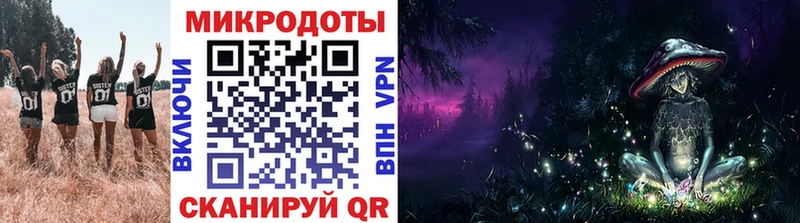 наркотики  Коммунар  Галлюциногенные грибы Psilocybe 